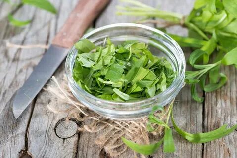 تصویر 2 از قیمت باورنکردنی سبزی ترخون خشک + فروش عمده
